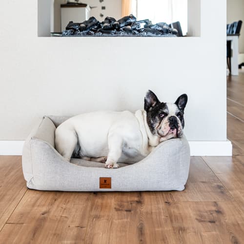 SNOOZYDOG – Eco Terra Hondenbed met Ritssluiting