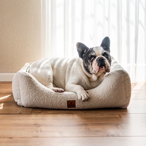 SNOOZYDOG – Eco Cloud Hondenbed met Ritssluiting