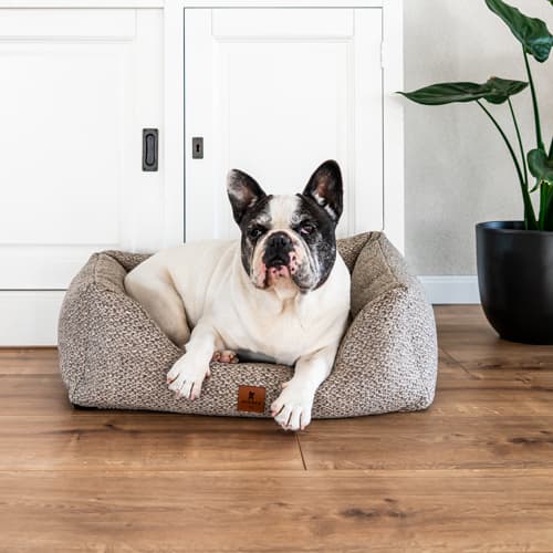 SNOOZYDOG – Eco Stone Hondenbed met Ritssluiting