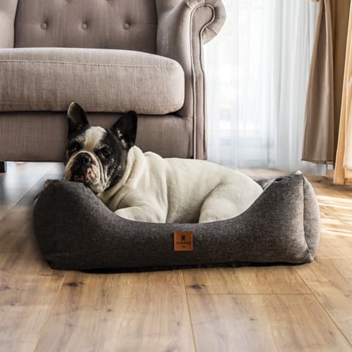 SNOOZYDOG – Eco Earth Hondenbed met Ritssluiting