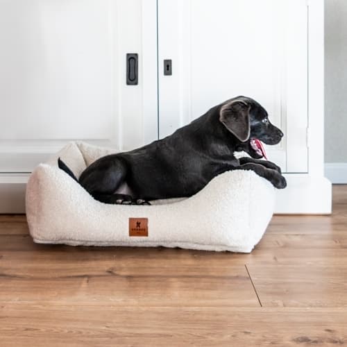 SNOOZYDOG – Eco Cloud Hondenbed met Ritssluiting