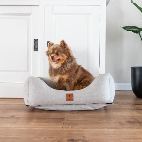 SNOOZYDOG – Eco Terra Hondenbed met Ritssluiting